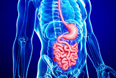 Cirurgia Gastrointestinal