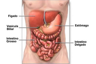 Cirurgia Hérnia Inguinal - IZB Gastro